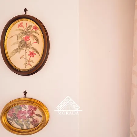 Casa Agave - Morada